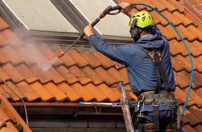 Démoussage et hydrofuge de toiture à Rueil-la-Gadelière
